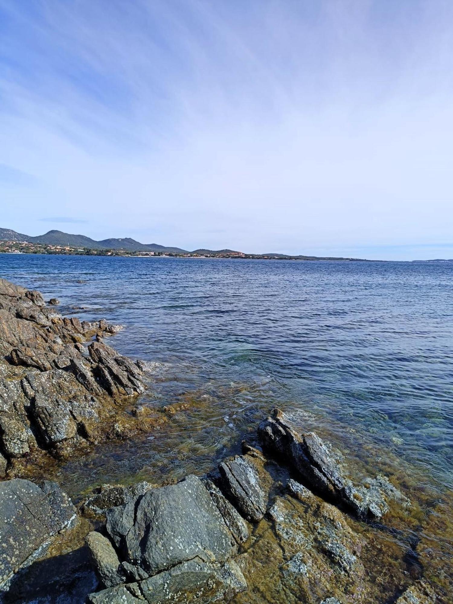 Studio'S Pavese Όλμπια Εξωτερικό φωτογραφία