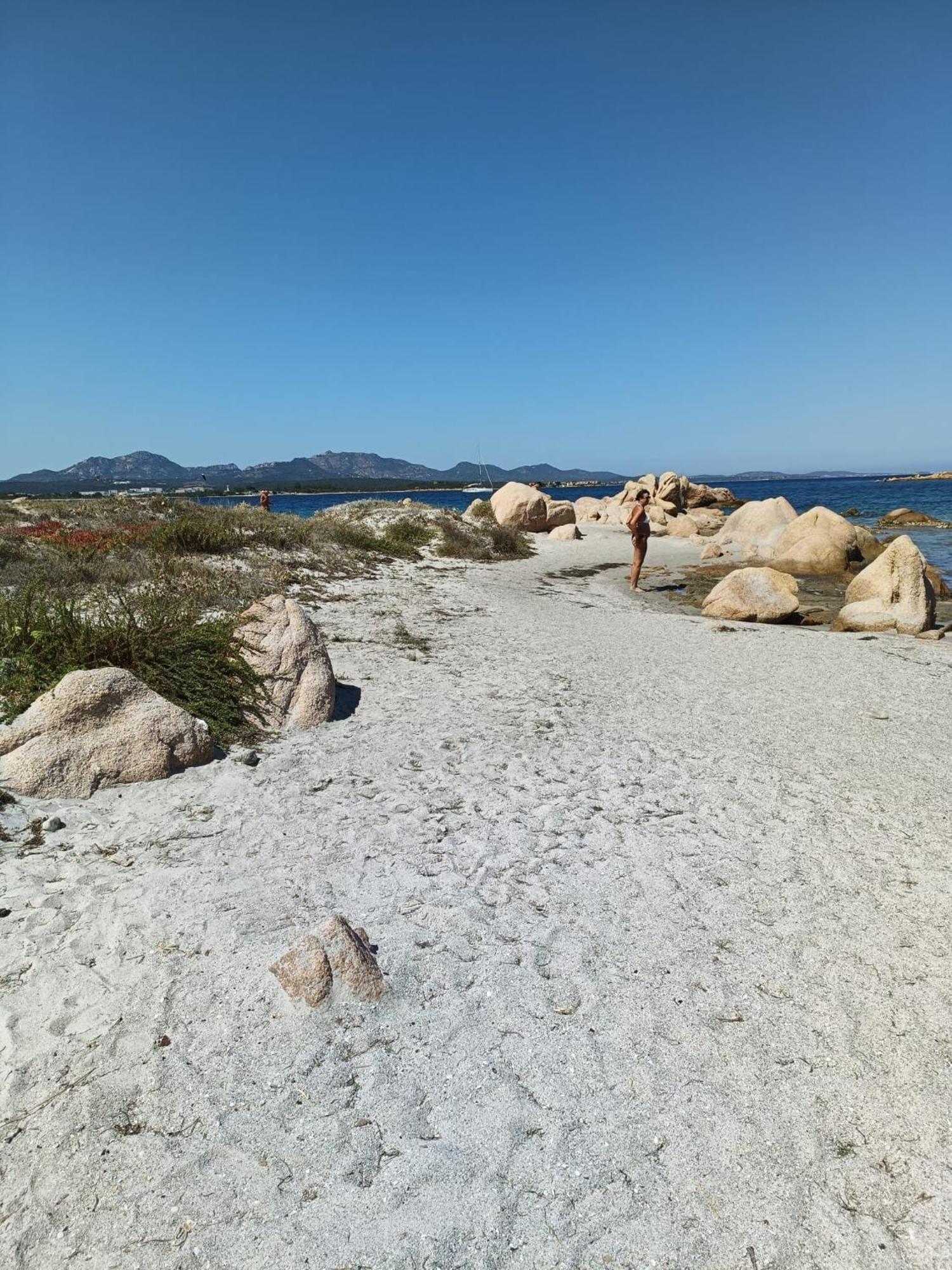 Studio'S Pavese Όλμπια Εξωτερικό φωτογραφία