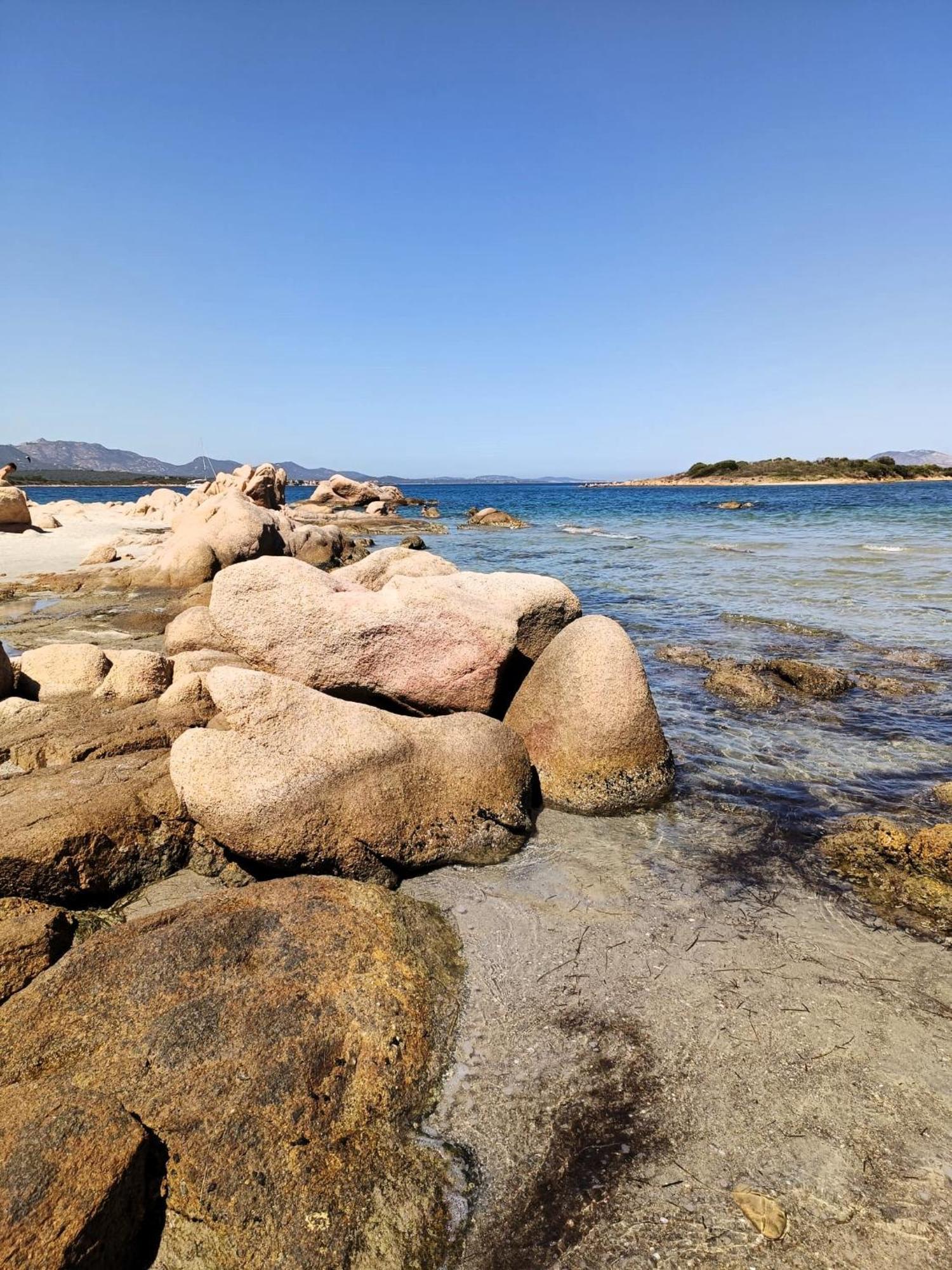 Studio'S Pavese Όλμπια Εξωτερικό φωτογραφία